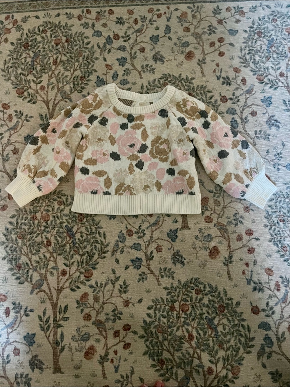 Janie and Jack Floral Knit Sweater - Cream, Pink & Brown